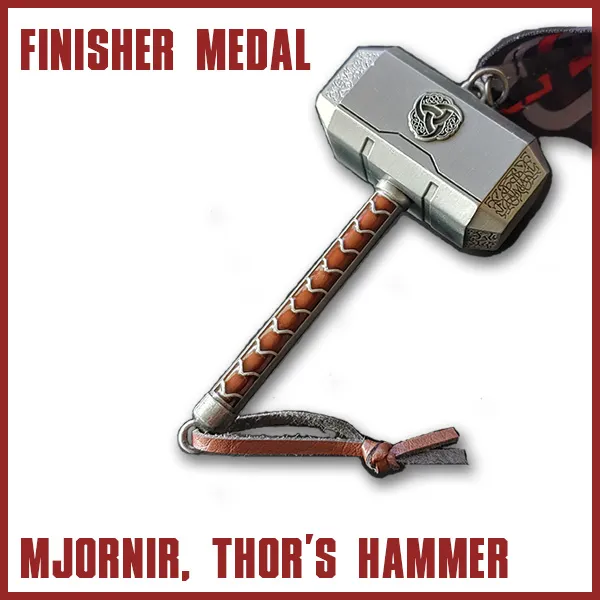 viking-dash-choose-your-medal