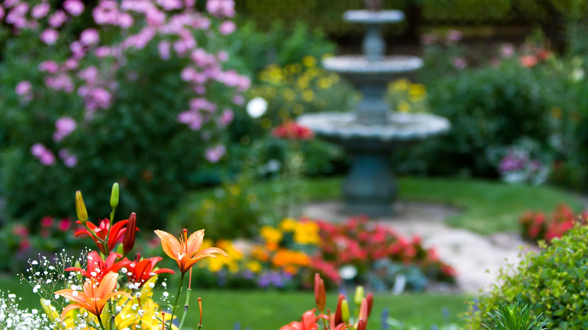 Eye-catching garden features to attract home buyers