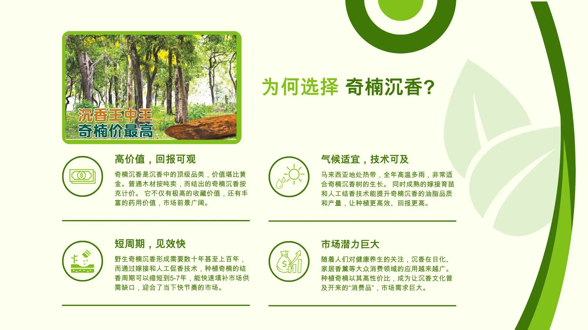 马来西亚奇楠沉香园出售
