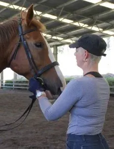 Leanne taking a horse through our mouthing process to achieve a more relaxed posture