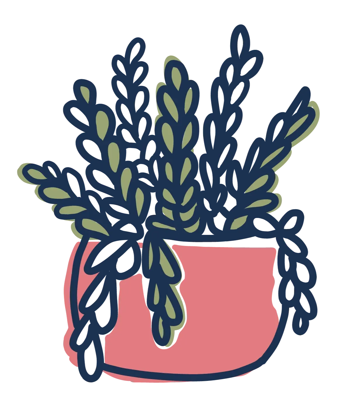 succulent pot