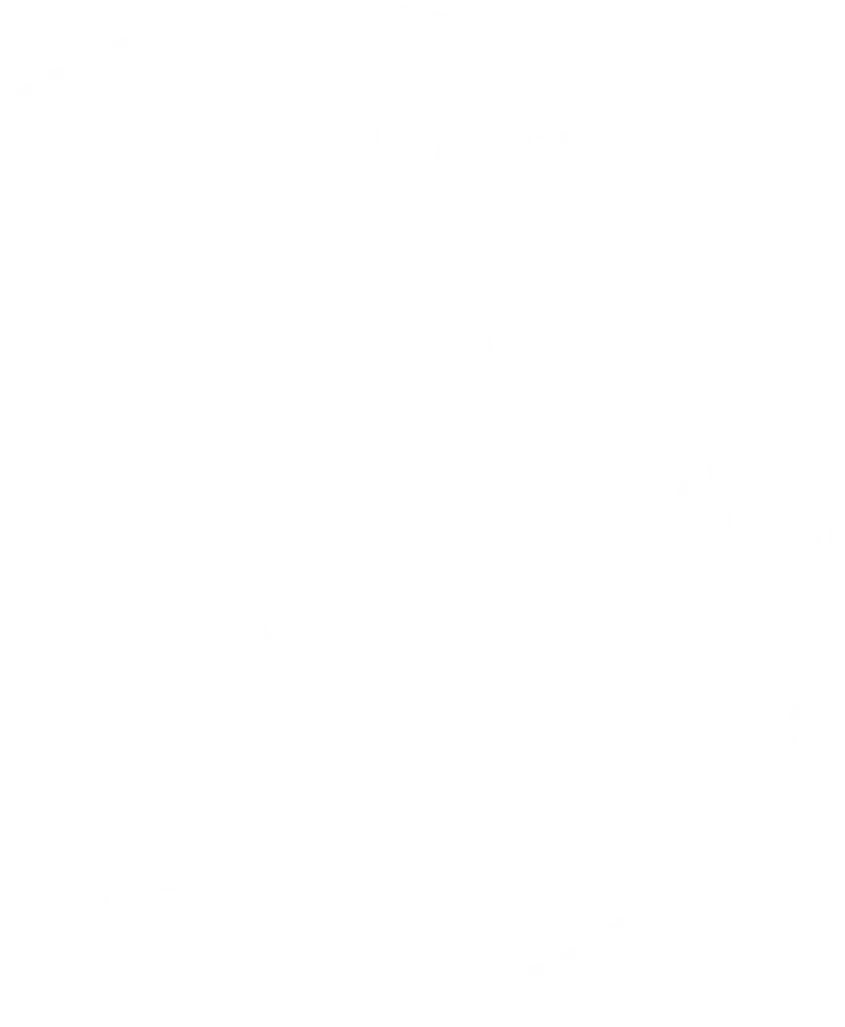 Lmpplus.com logo 