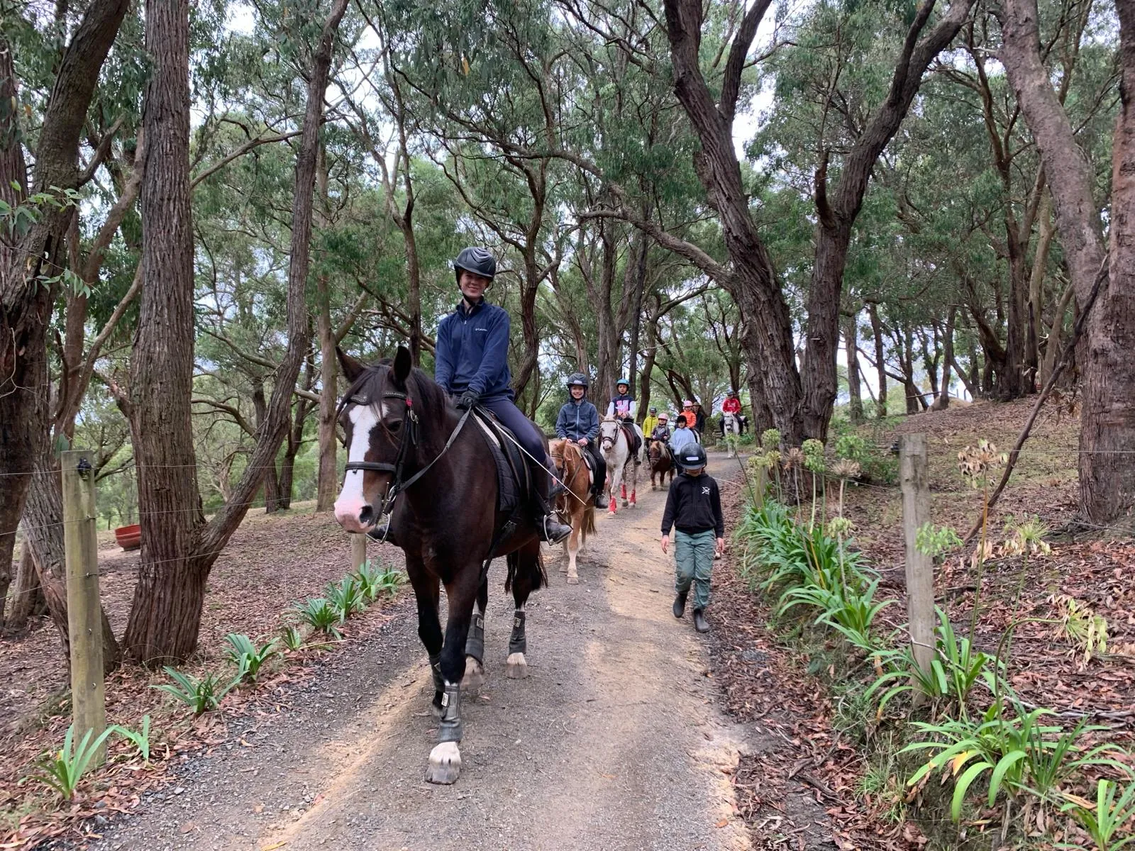 One of our pony club groups taking the horses out on a trail ride through the property 