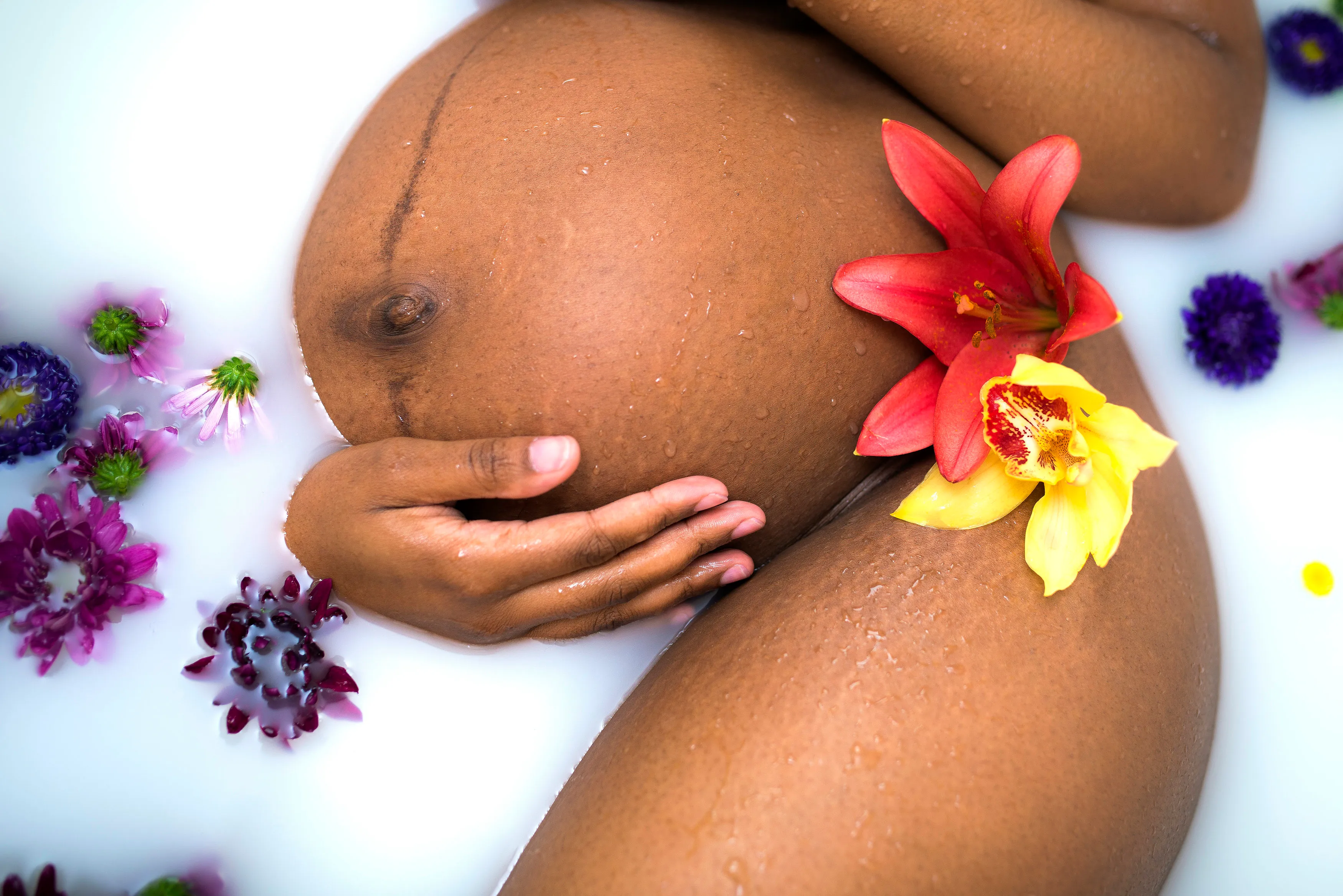 pregnant belly in a flower and milk bath.