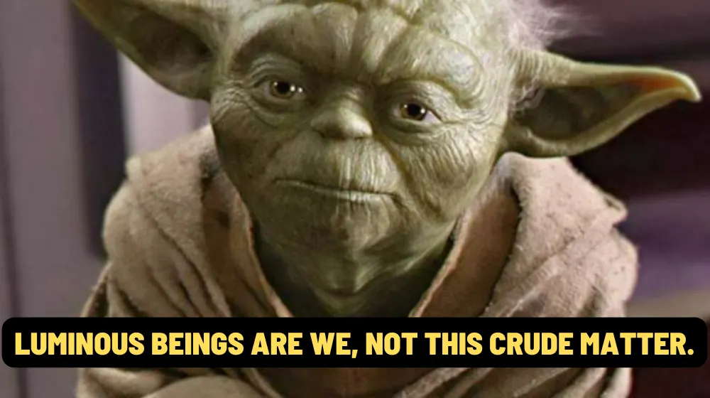 yoda quote LUMINOUS BEINGS ARE WE NOT THIS CRUDE MATTE