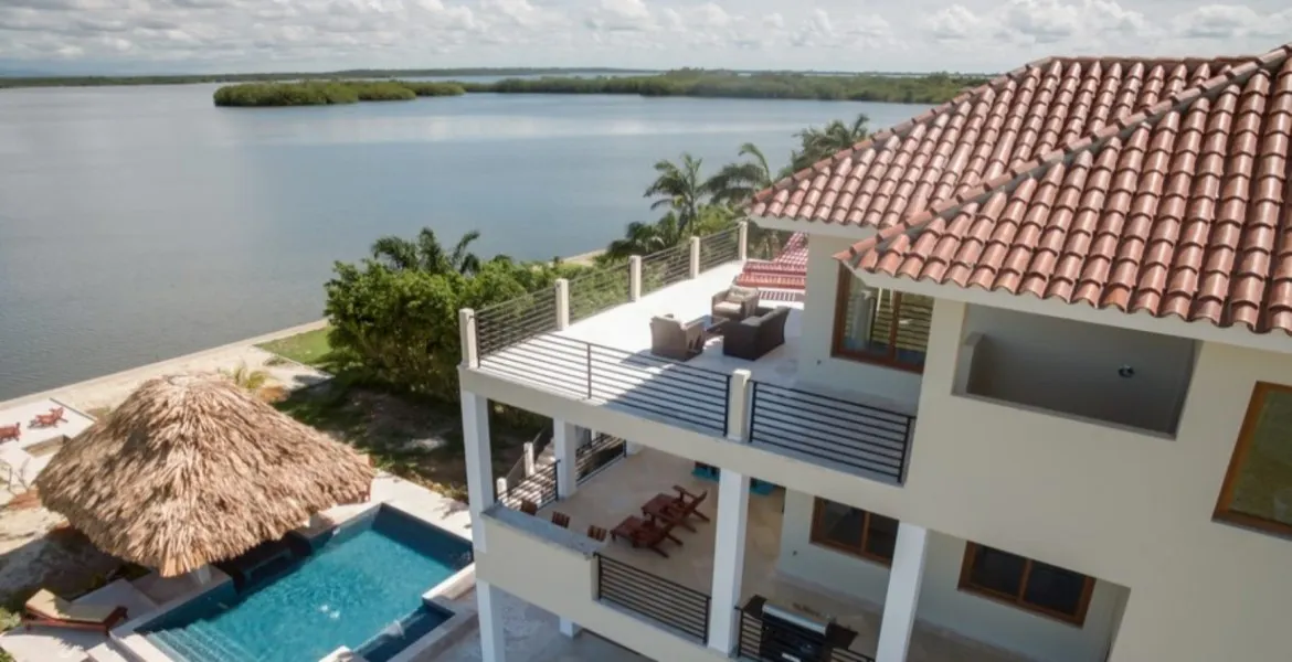 laguna gecko looking over lagoon