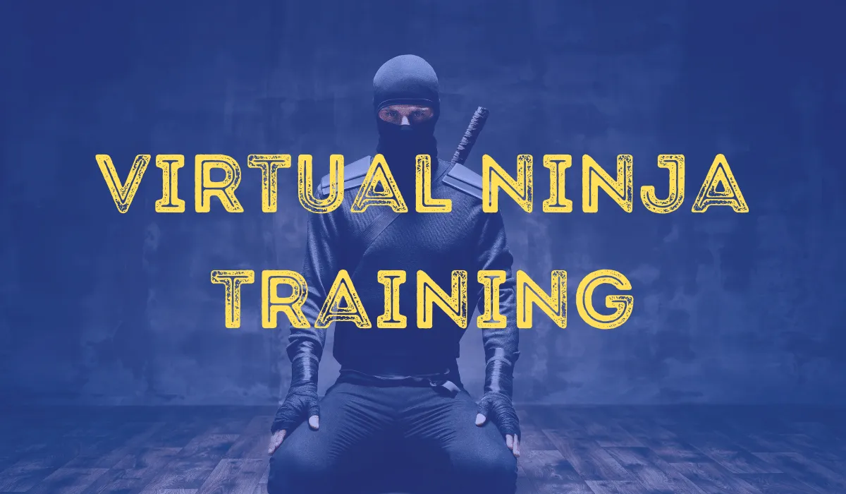 Virtual Ninja Training