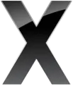 x logo