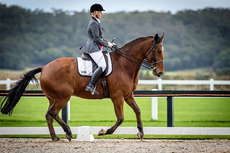 Leanne riding a dressage test with Rodney 