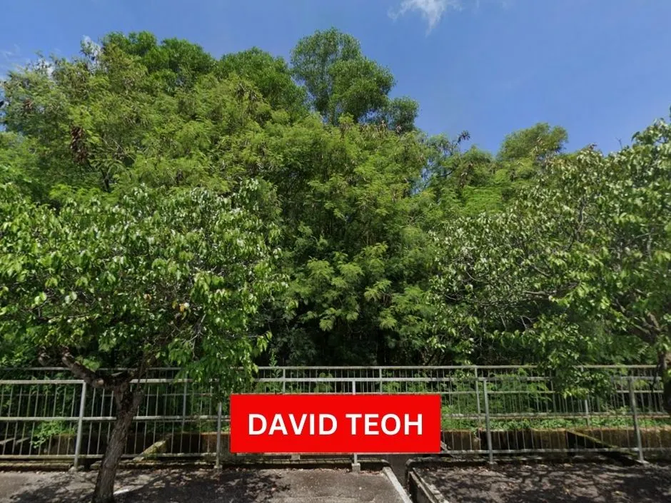 nibong tebal commercial land for sale