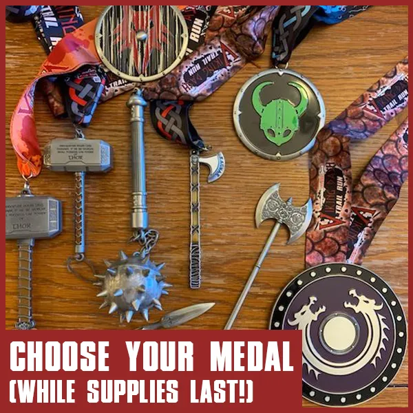viking-dash-choose-your-medal