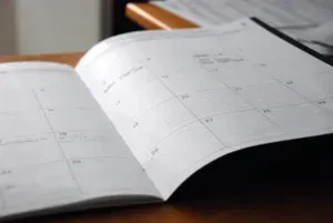 use a calendar to schedule brain dumps