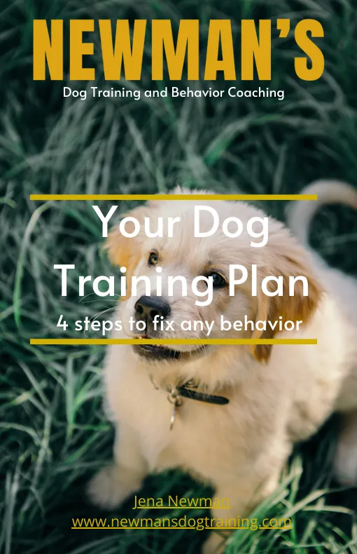 Dog training plan ebook cover featuring puppy in grass with text “Your Dog Training Plan 4 steps to fix any behavior” by Newman’s Dog Training
