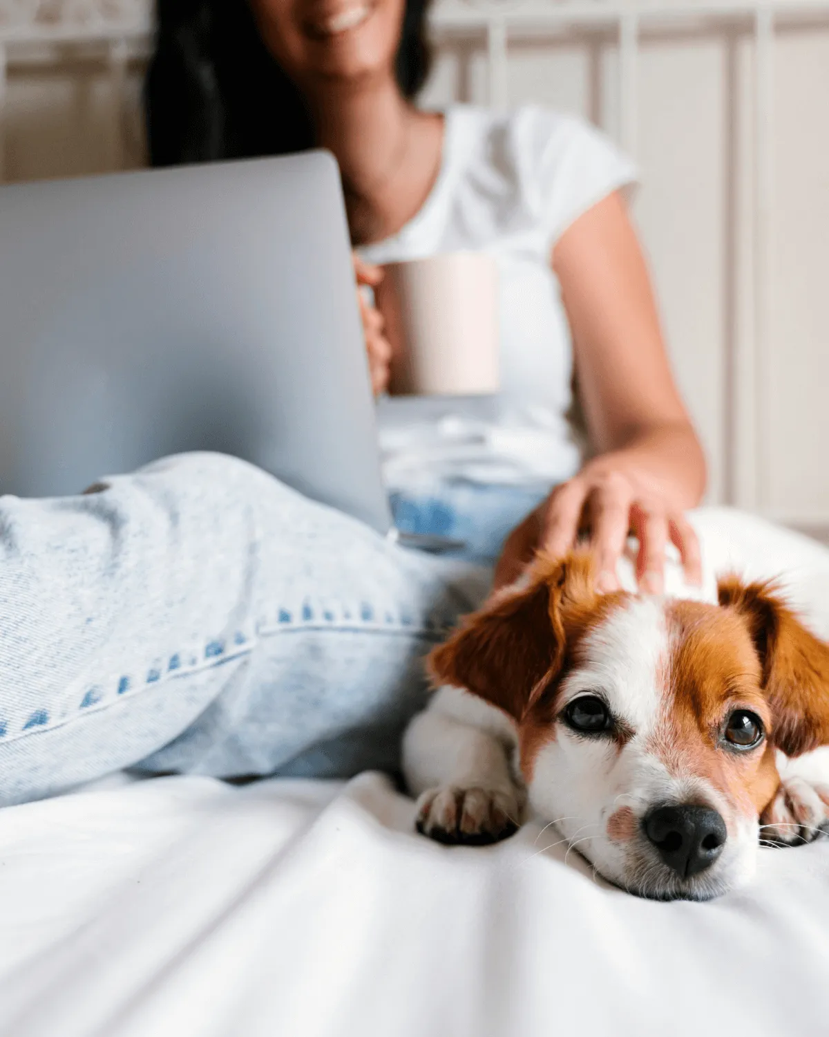 woman working on laptop with dog on bed