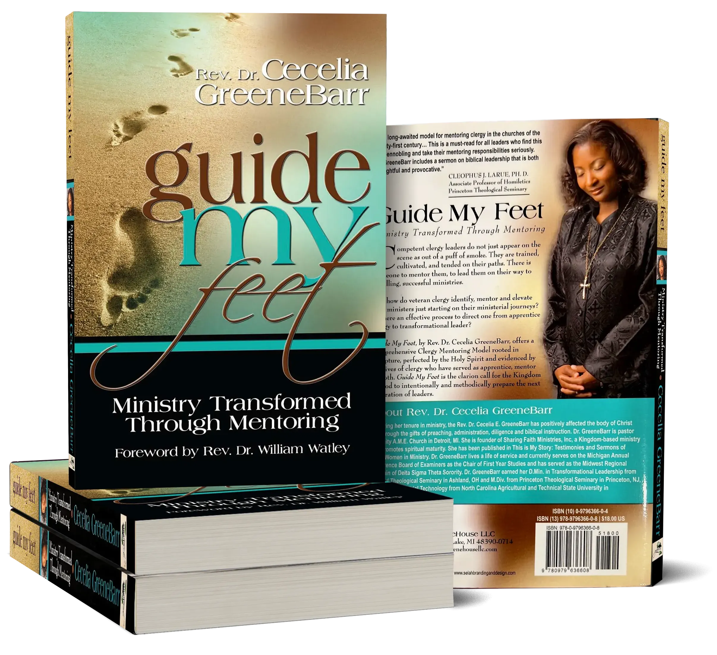 Guide My Feet: Ministry Transformed Through Mentoring