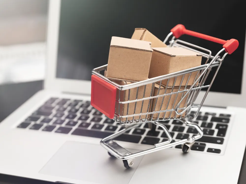 Ecommerce Shopping Cart