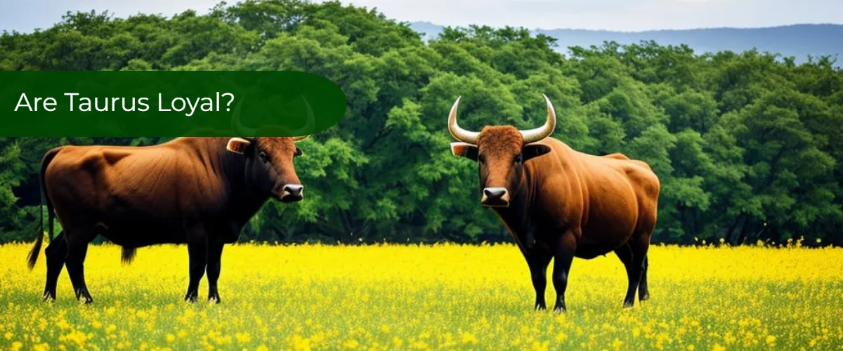 Are Taurus Loyal?