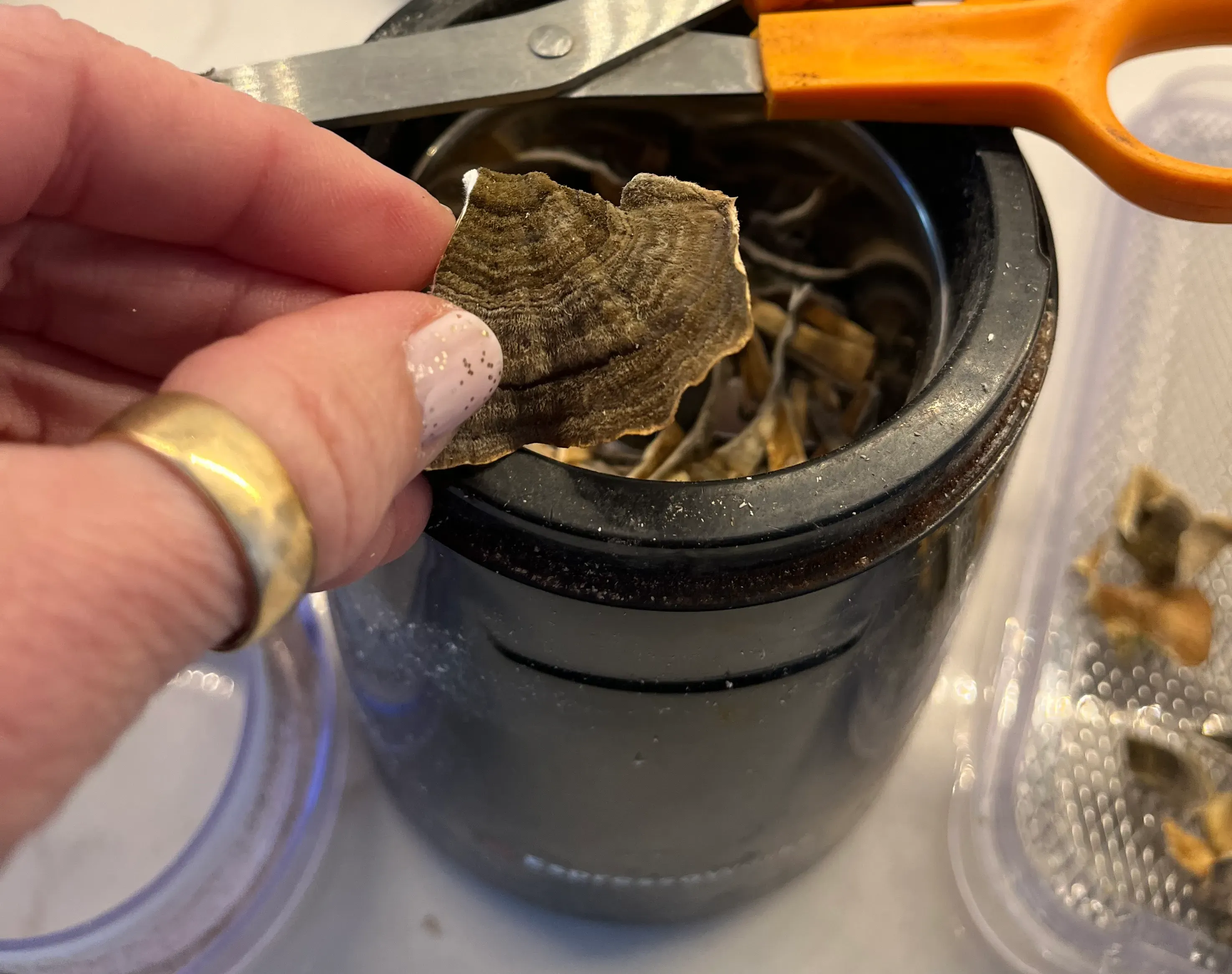 cleaning and cutting turkey tail mushrooms lengthwise