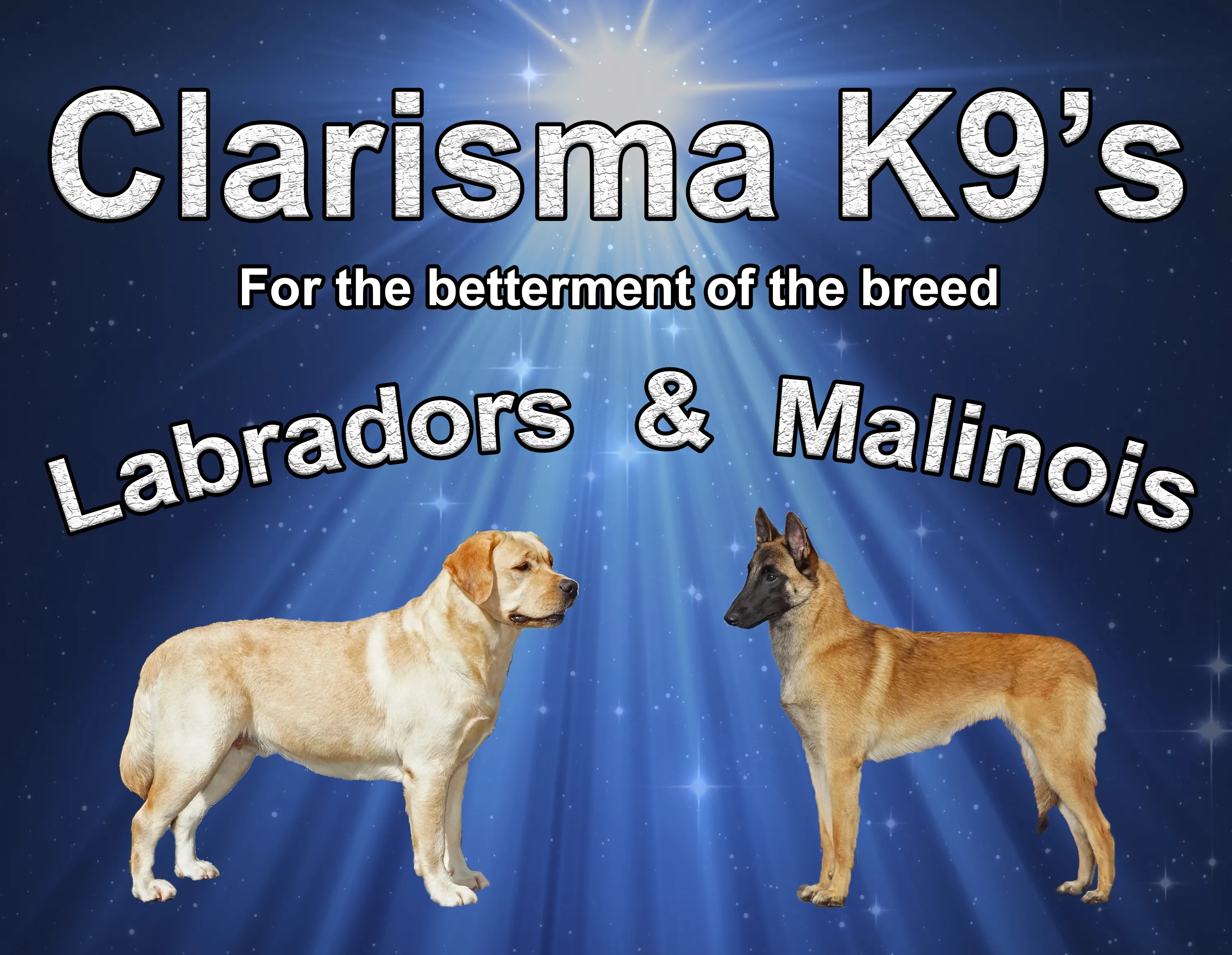 Clarismak9s.com