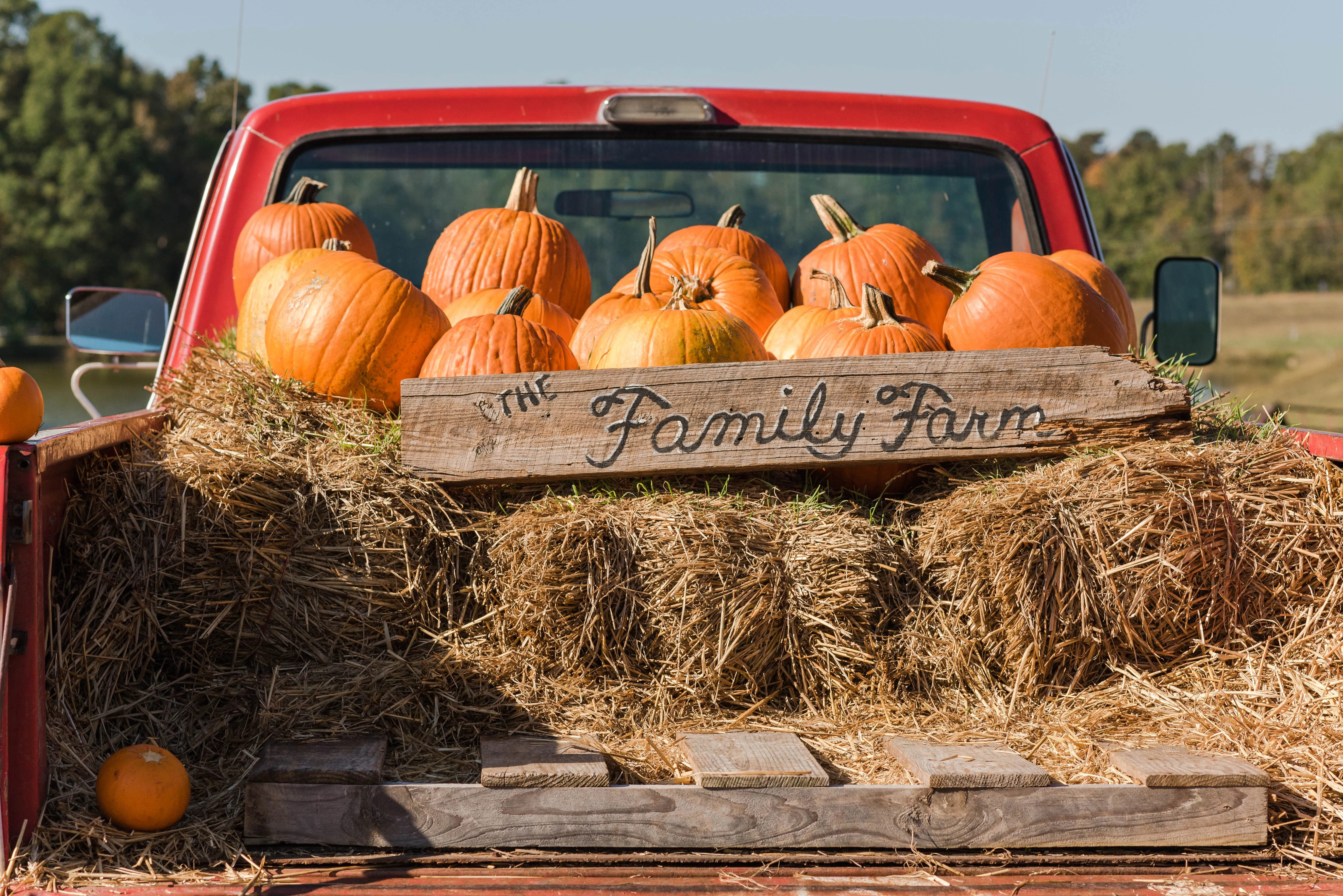 Red Truck with Hay and Pumpkins in the bed with sign that says 