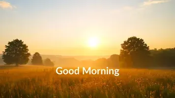 Good morning