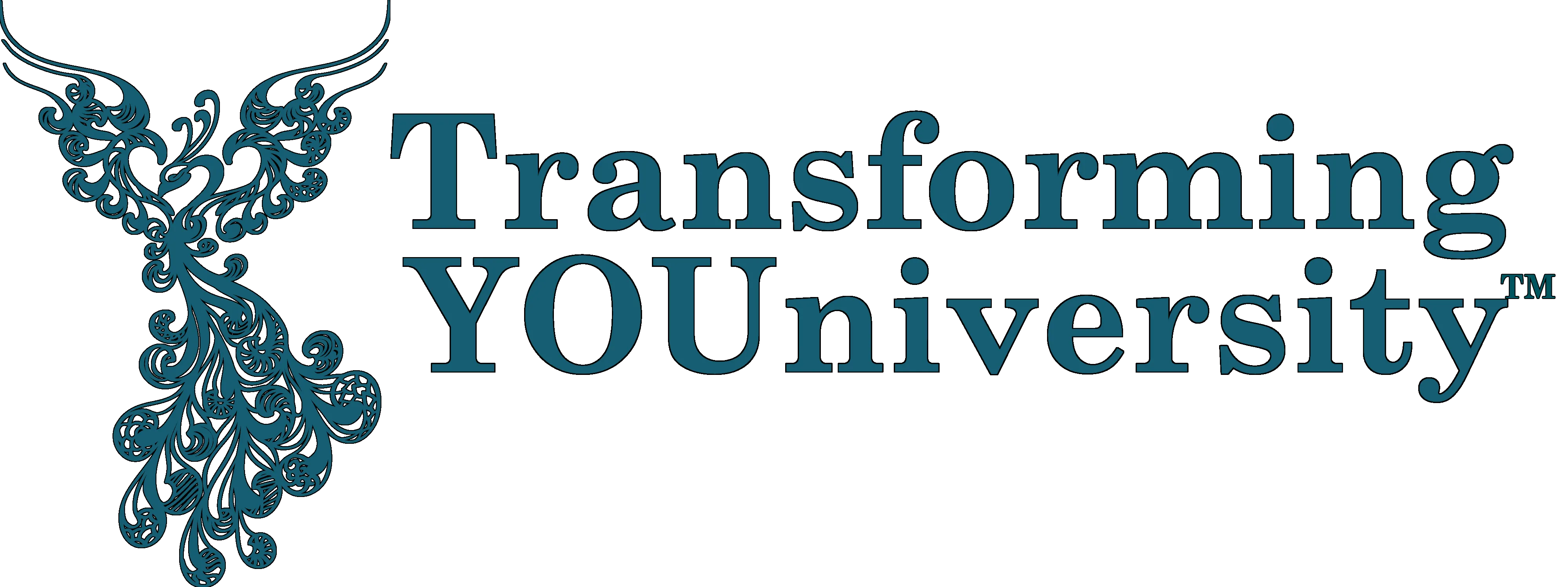 Transforming YOUniversity