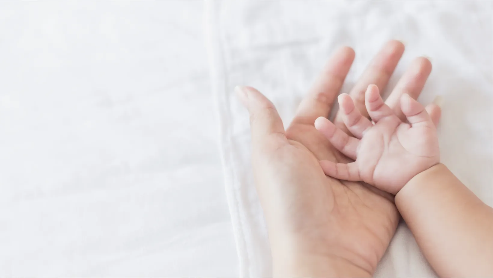 babyhand