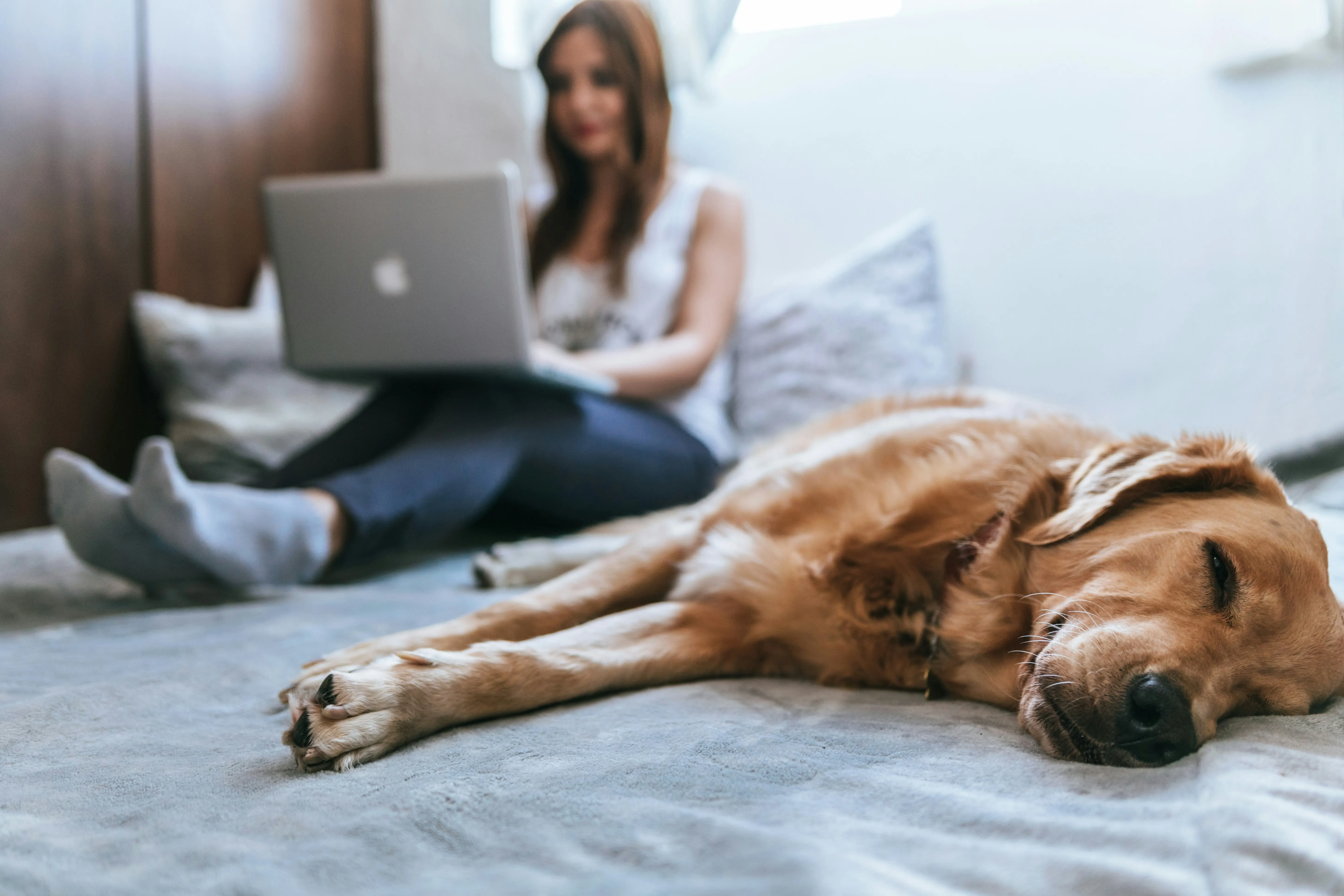 woman sitting on bed ordering melatonin supplement on her laptop with a sleeping dog laying next to her