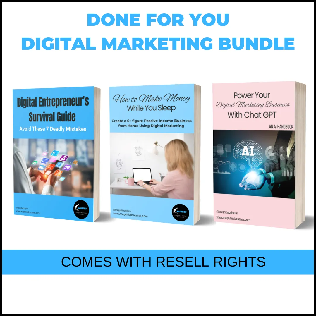 digital marketing PLR bundle online make money CHAtGPT for beginners