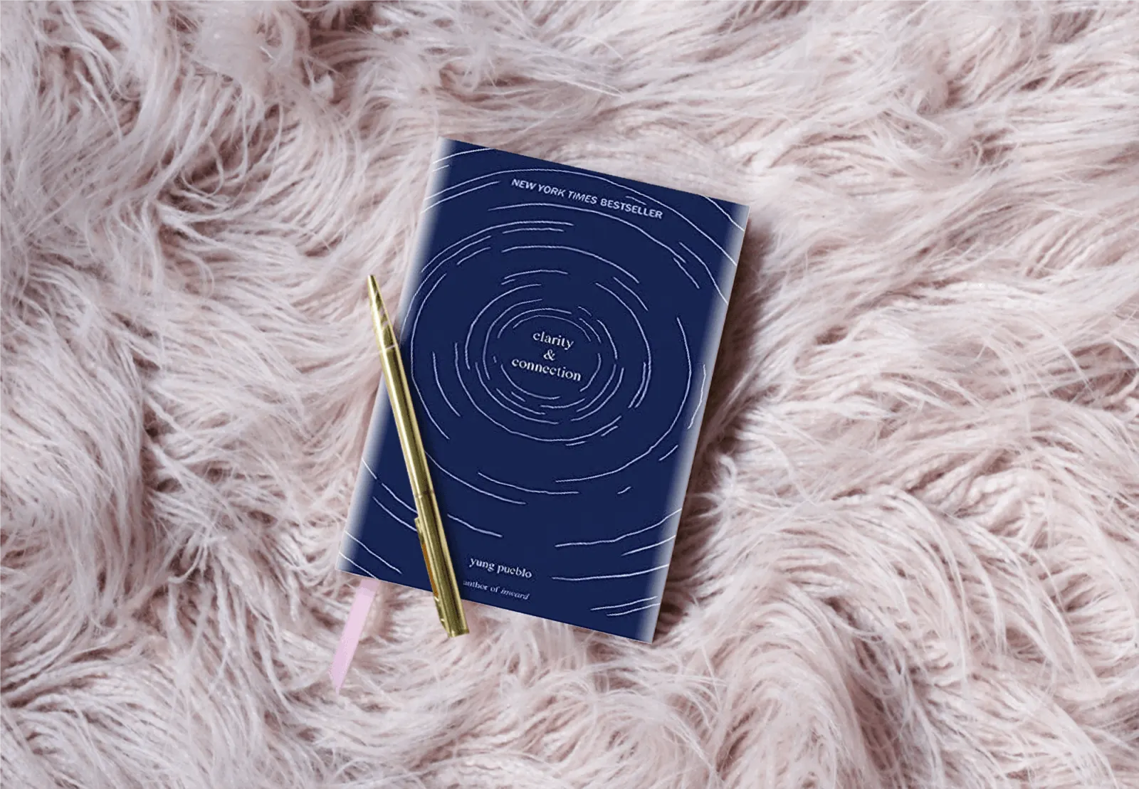 clarity and connection poetry book