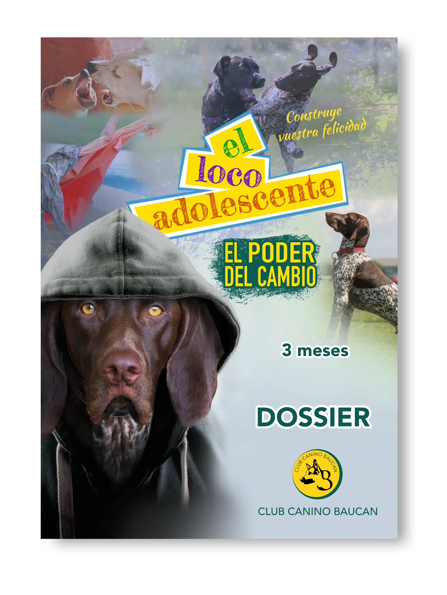 Dossier El loco Adolescente