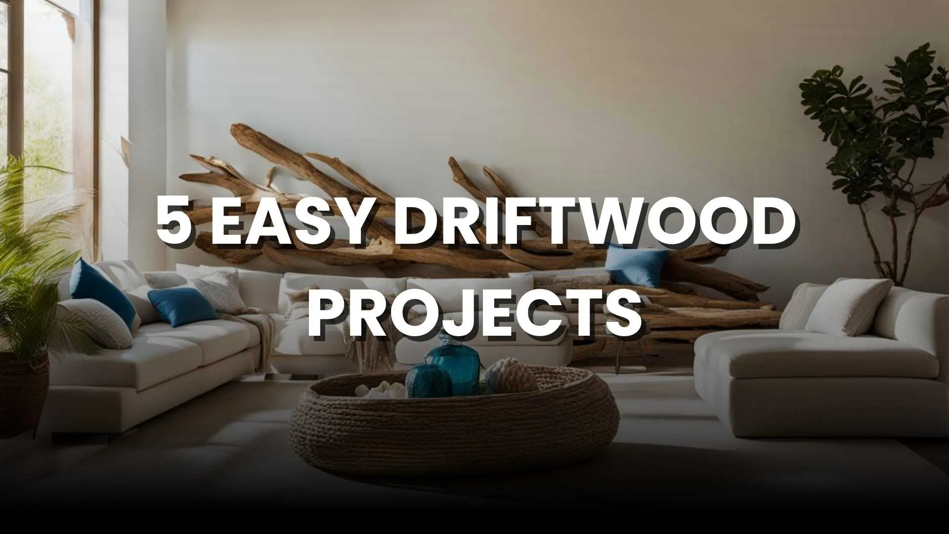 5 easy driftwood projects
