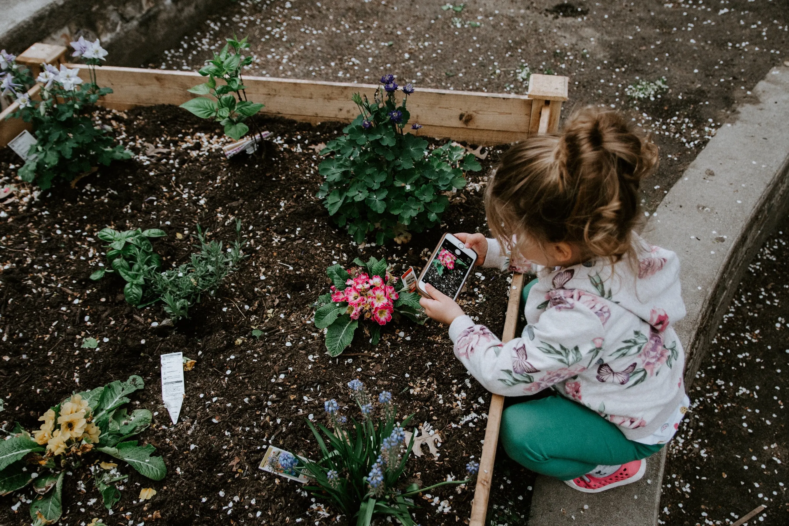 Girl Gardening taking picture of flowers