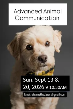 Advanced Animal Communication