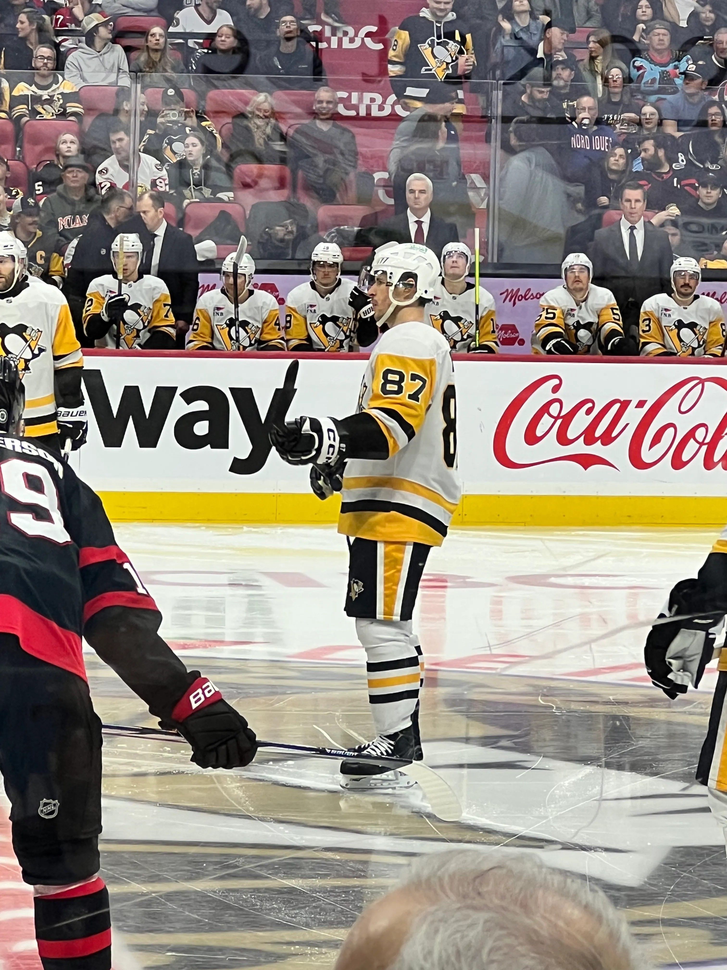 Sidney Crosby