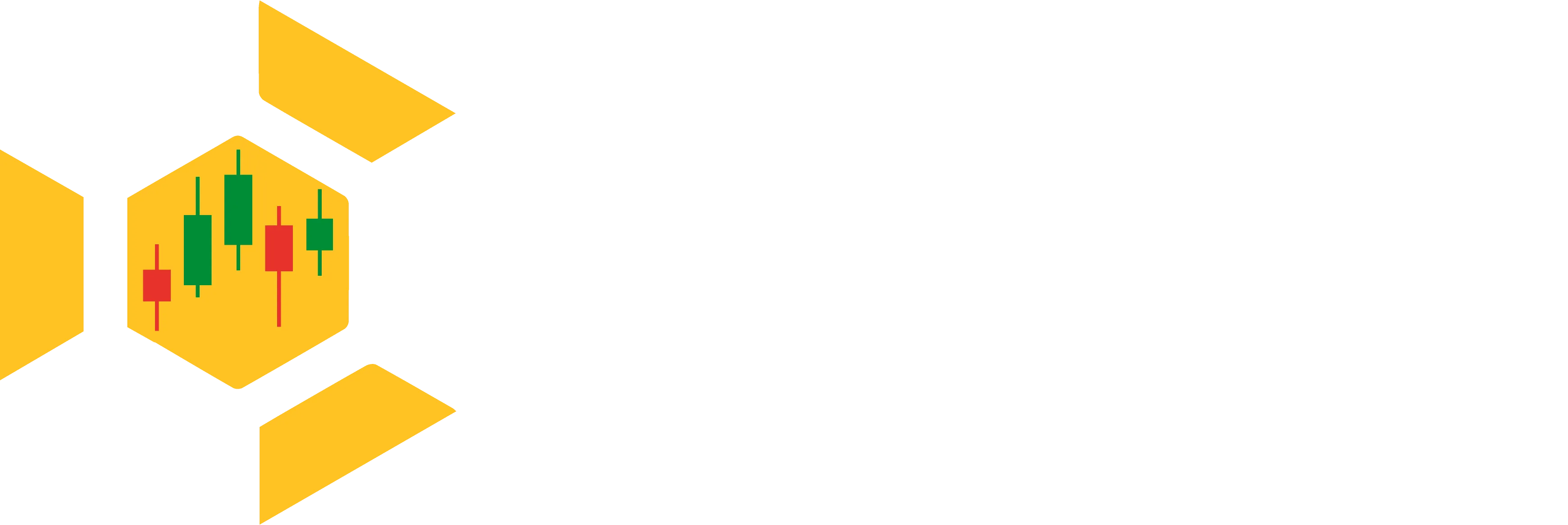 Turtle Investor Acadmy Logo