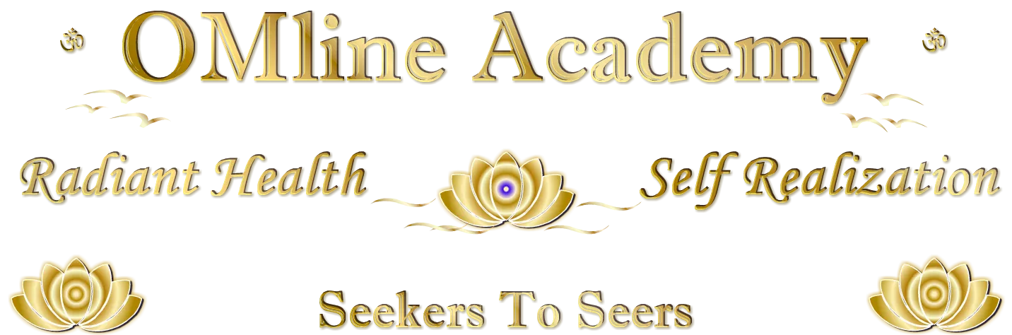 OMline Academy