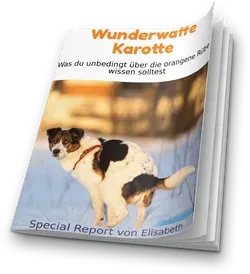 Special Report Durchfall Hund