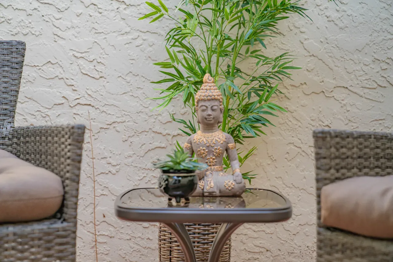 Airbandb in Scottsdale AZ Zen Botanical Garden, best garden house in airbnb, best garden house in pheonix