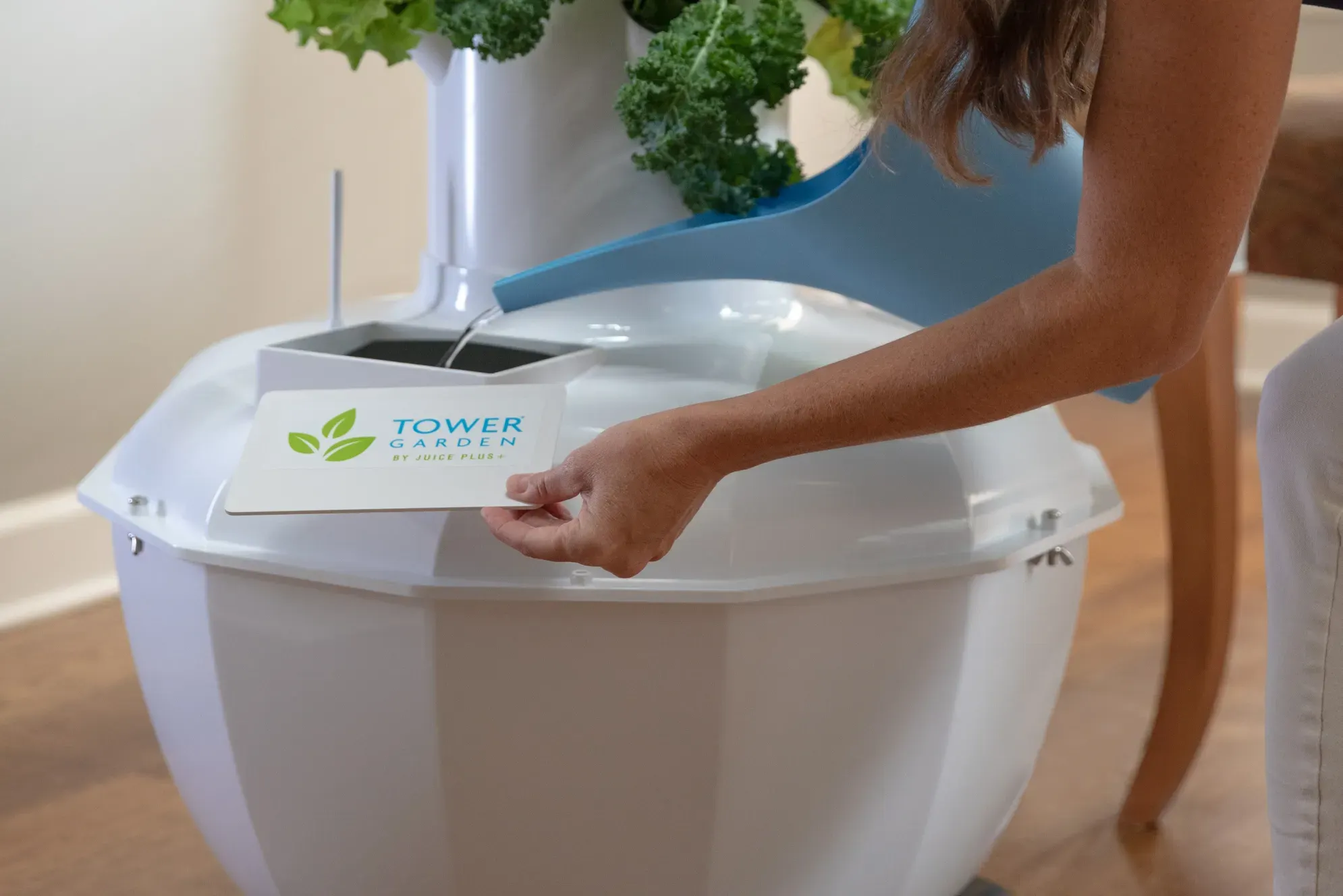 Compact vertical garden growing vegetables, herbs, and fruits in small spaces 