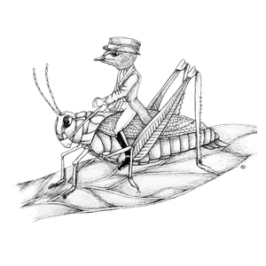 Grasshopper and bird by Donna Dery