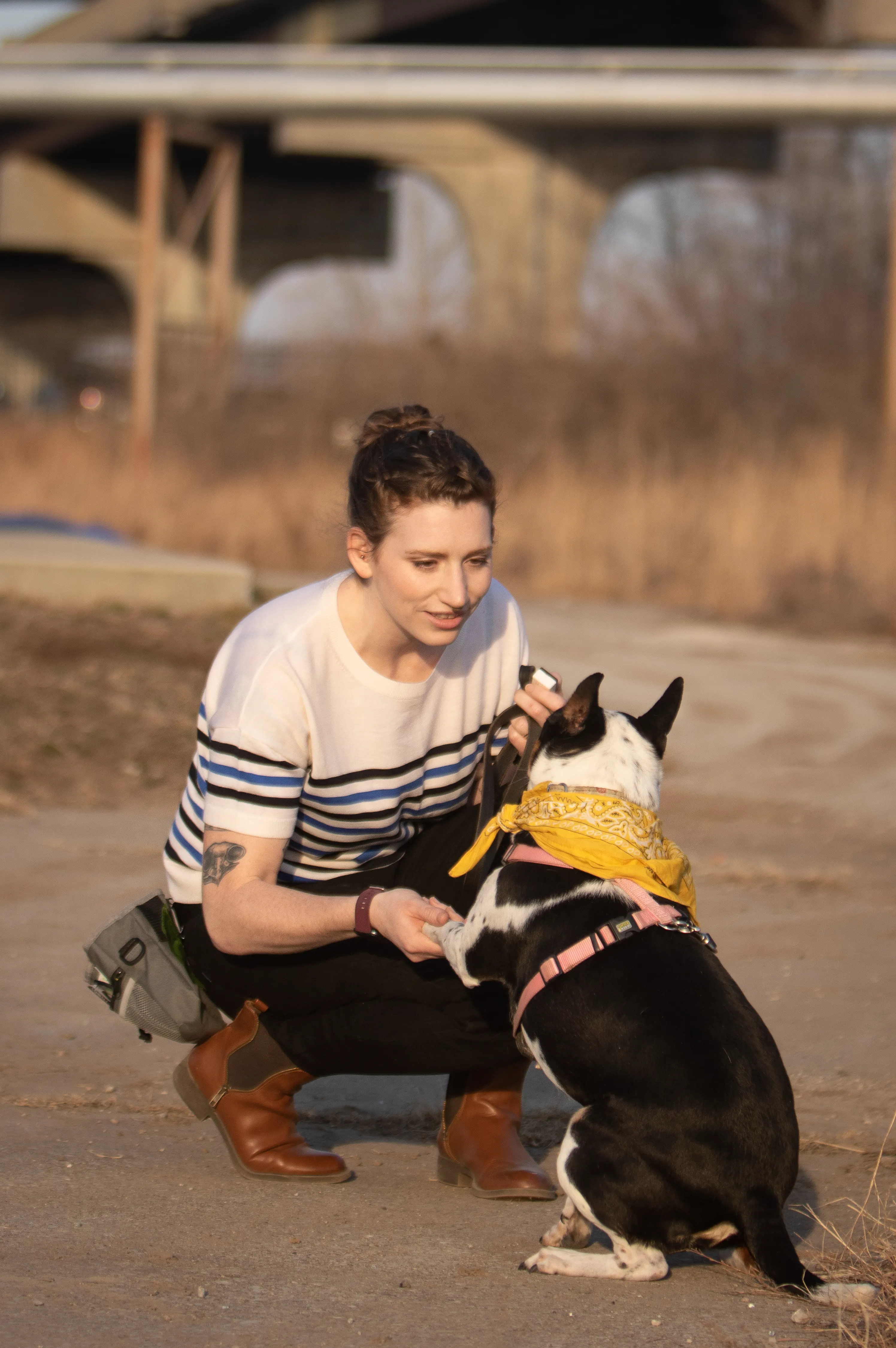 Newman's Dog Trainer Kansas City - Destin Farmer - CPDT-KA, AKC Evaluator and a Fear Free Certified Trainer