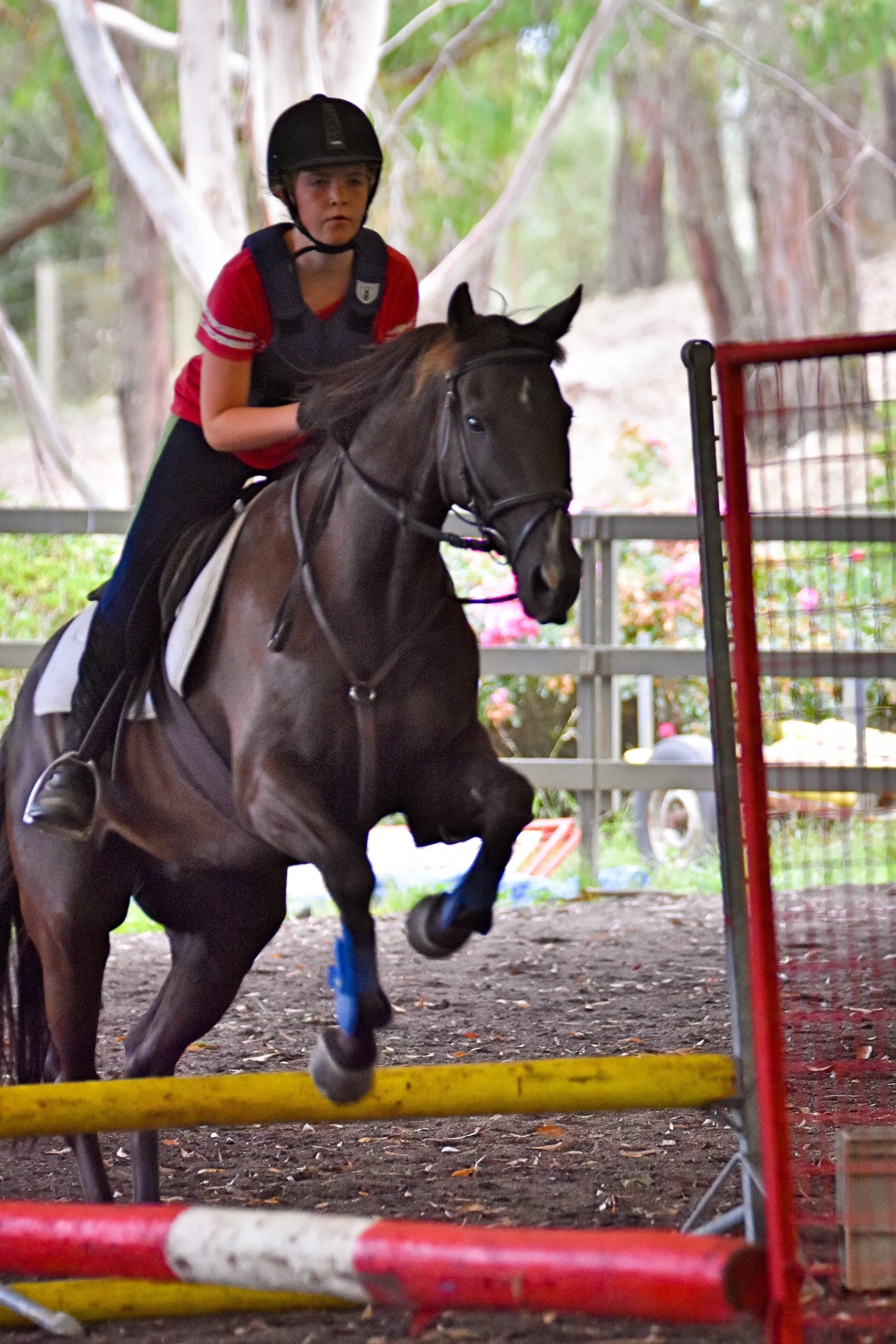 Rider at our Horse Owner Camp in our indoor arena jumping with her stunning horse