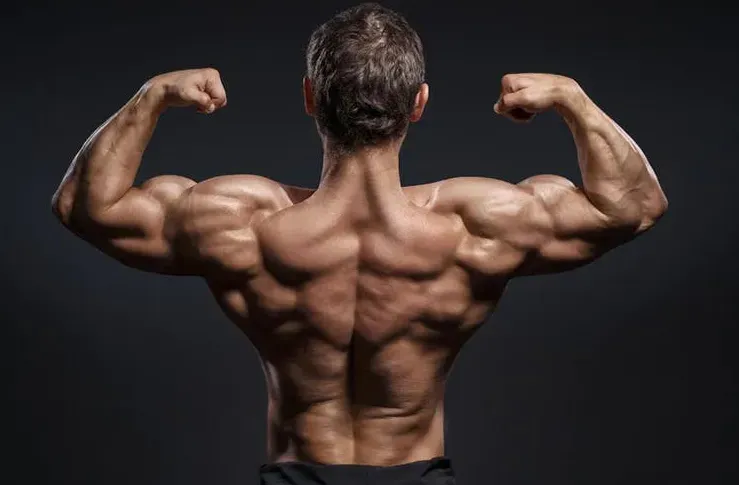 A man showing off his back musculature in a pose.