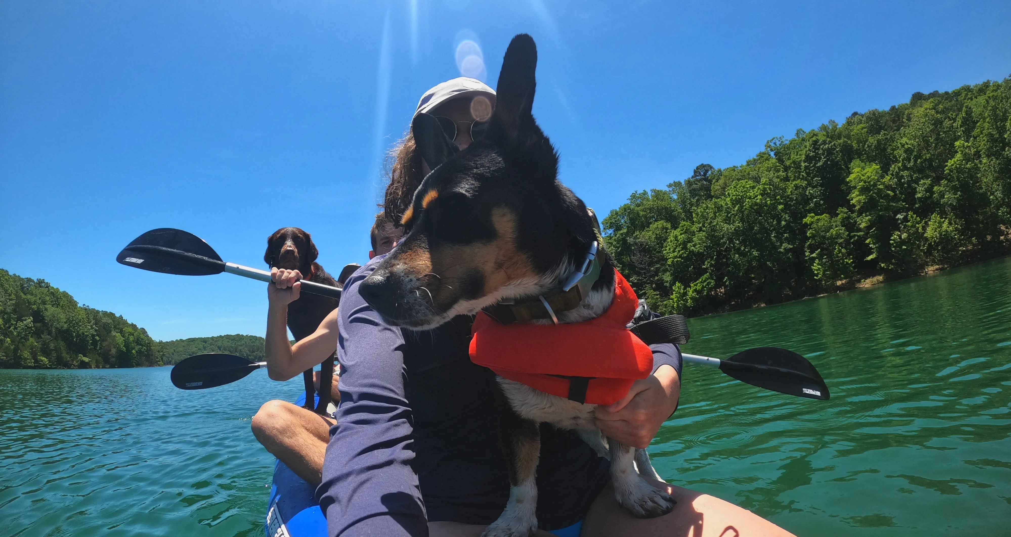 adventure dog training dog on canoe beaver lake Rogers AR Newman's Dog Training