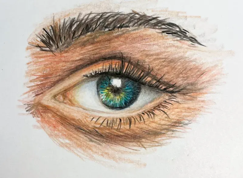 bianca-rathgeb-auge-illustration