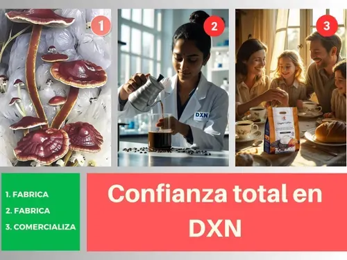 Infografía del proceso 'De la Granja a tu Taza' de DXN, garantizando la confianza total en el producto.