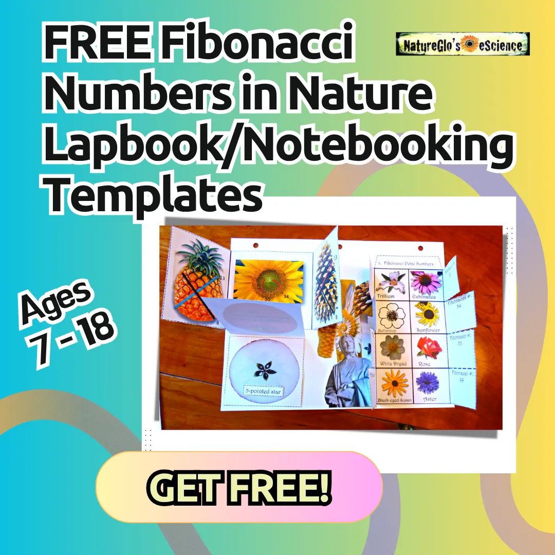 fibonacci numbers in nature lapbook notebooking templates