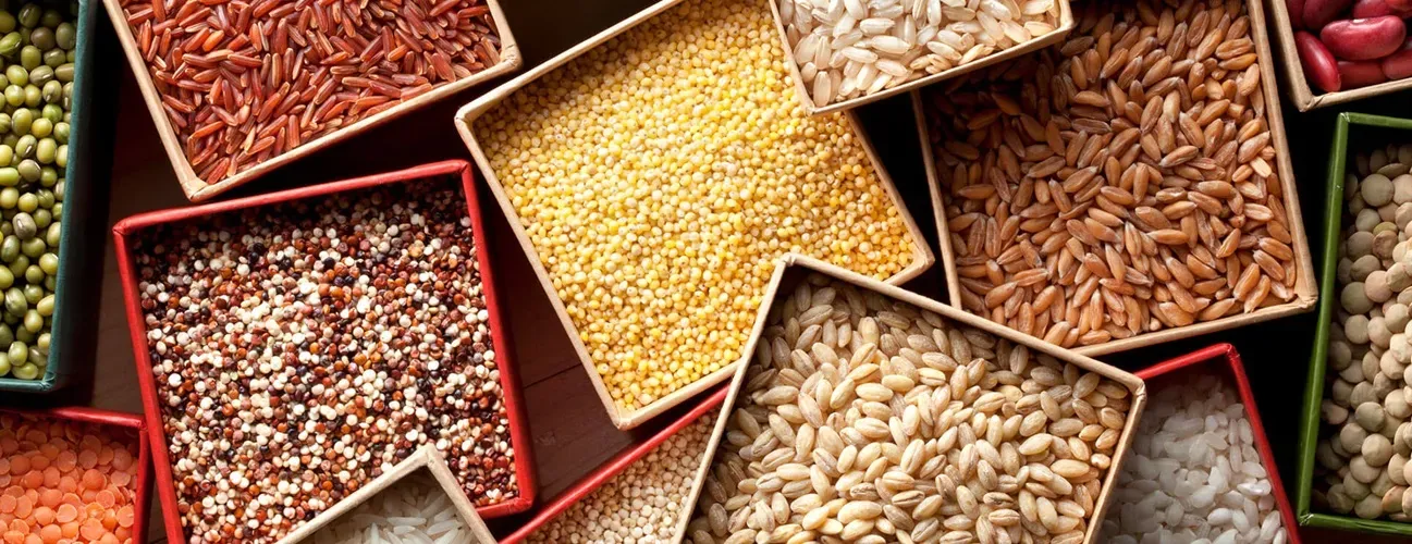 Various grains laid out in rustic square bowls.