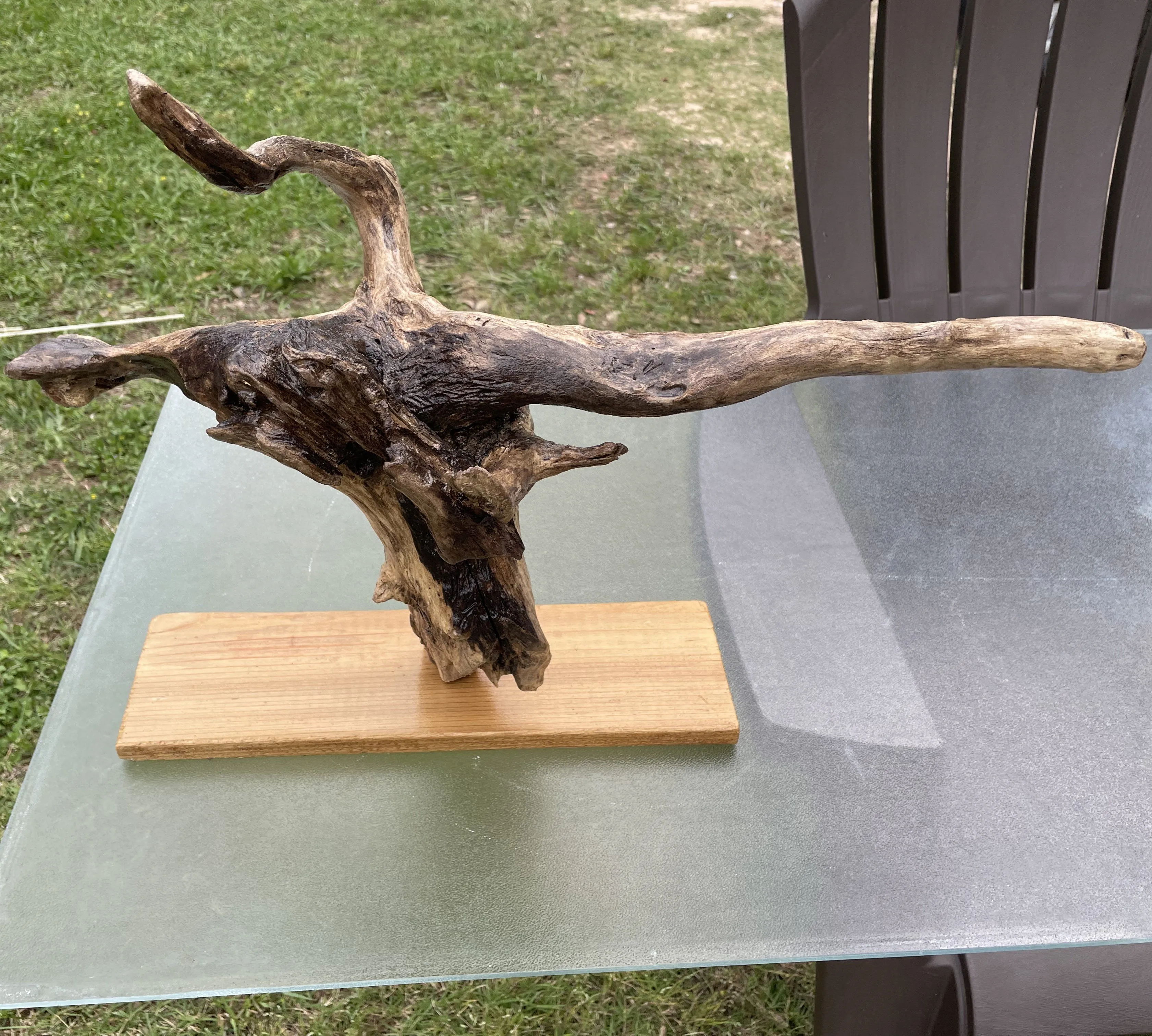 flight driftwood piece